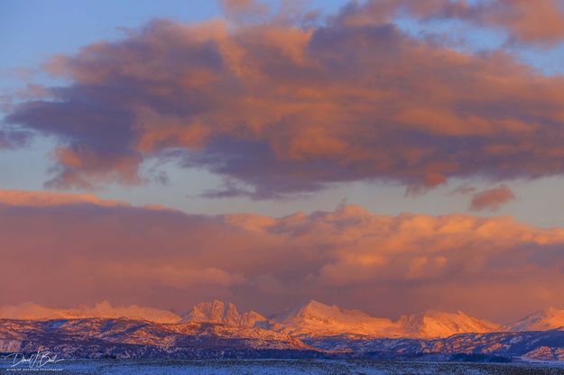 Beautiful Soft Light. Photo by Dave Bell.