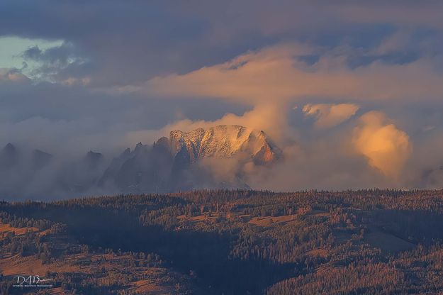 Beautiful Light. Photo by Dave Bell.