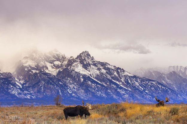 Weather Change. Photo by Dave Bell.