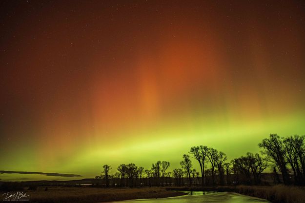 . Photo by Dave Bell.