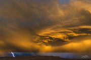 . Photo by Dave Bell.