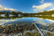 Perfect Reflection. Photo by Dave Bell.