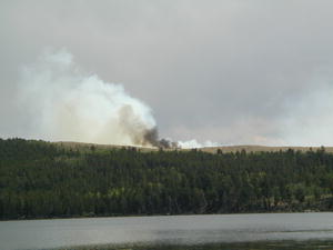 Looking south from Skinner Brothers Camp