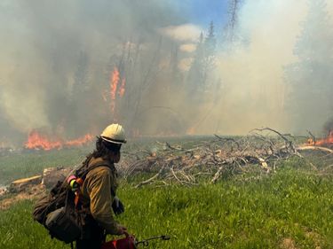 Horse Fire. Photo courtesy BTNF.