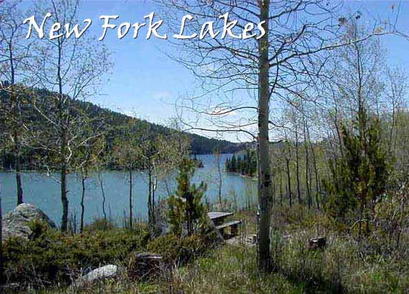 New Fork Lakes Narrows Campground
