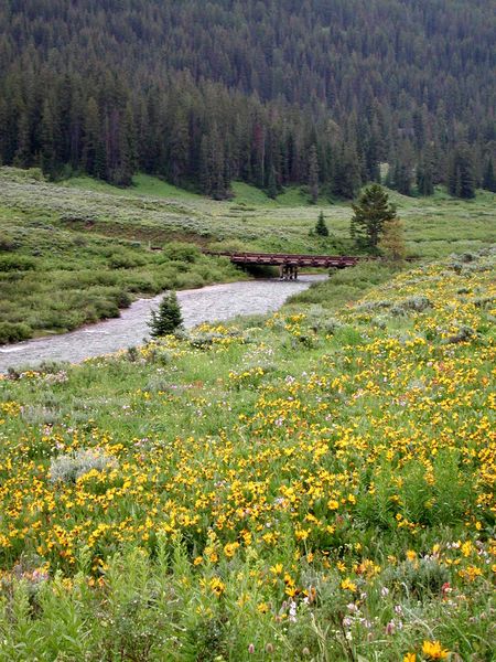 Bridge over Granite Creek. Photo by Pinedale Online.