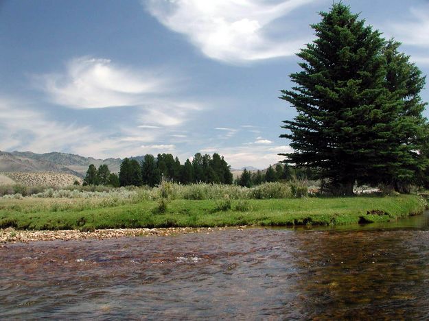 Big Sandy Creek near Buckskin Crossing. Photo by Pinedale Online.