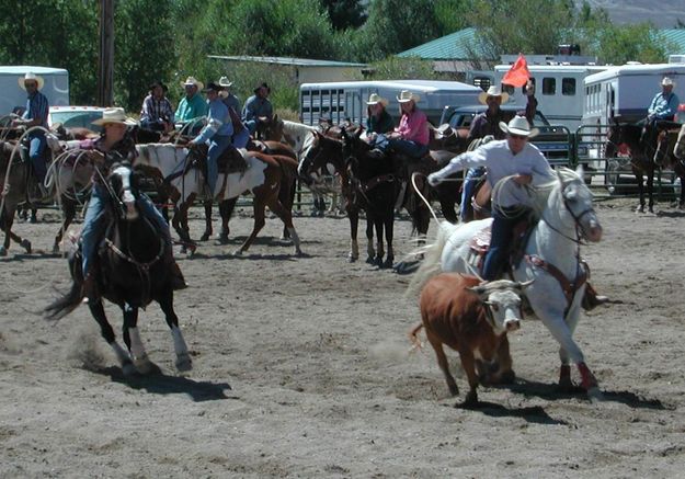 Team Roping. Photo by Pinedale Online.