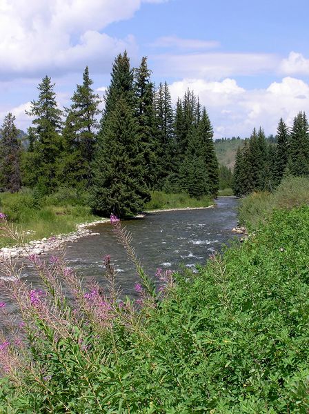 Greys River. Photo by Pinedale Online.