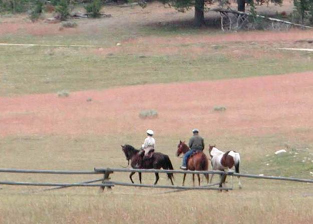 Horseback. Photo by Pinedale Online.