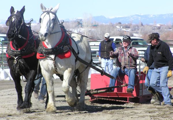 Light Weight Pull. Photo by Pinedale Online.