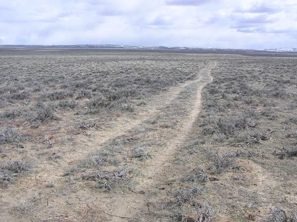 Lander Trail. Photo by Pinedale Online.