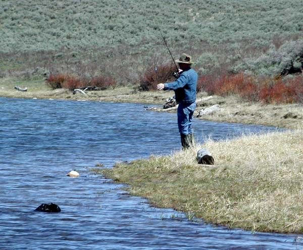 Dollar Lake Fisherman. Photo by Pinedale Online.