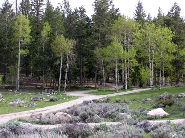 Scab Creek Campground. Photo by Pinedale Online.