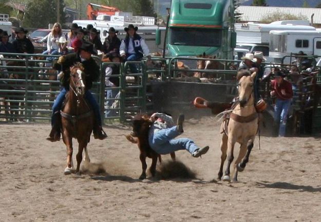 Steer Wrestling. Photo by Pinedale Online.