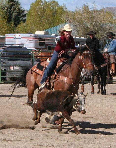 Lady Team Roper. Photo by Pinedale Online.