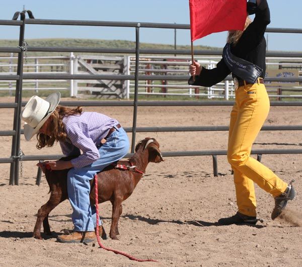 Goat tail tying. Photo by Pinedale Online.