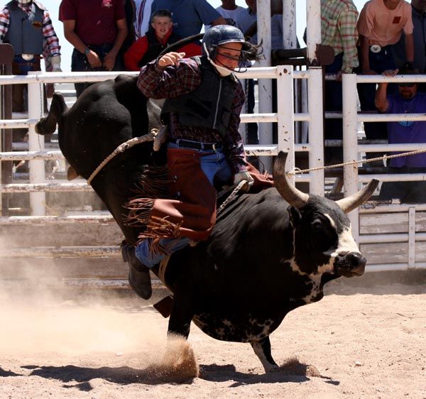 Bull Riding. Photo by Clint Gilchrist, Pinedale Online.