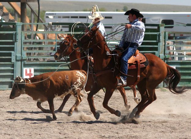 Dally and Turn. Photo by Pinedale Online.