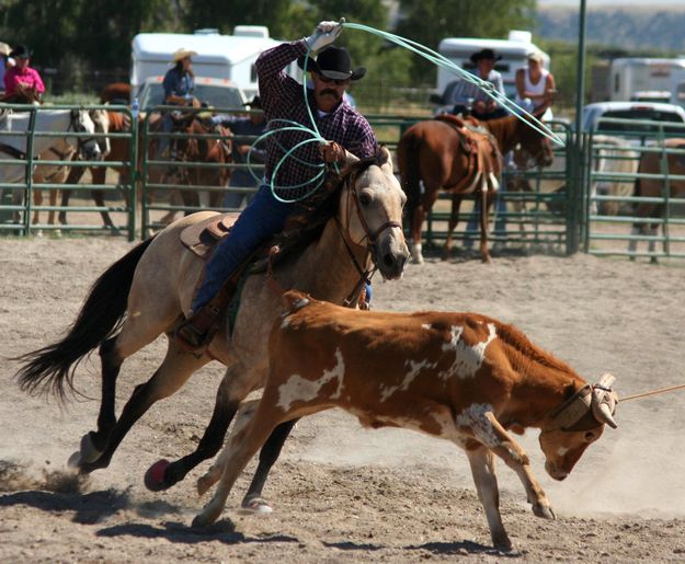 Heeler Mark Fear. Photo by Pinedale Online.