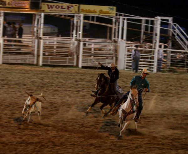 Header and Heeler. Photo by Pinedale Online.