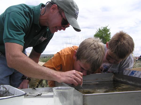 Finding bugs. Photo by Dawn Ballou, Pinedale Online.