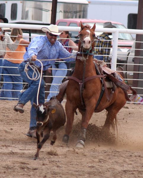 Calf Roping. Photo by Clint Gilchrist, Pinedale Online.