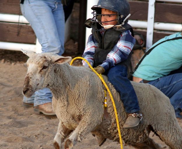 Colt Ramsey. Photo by Clint Gilchrist, Pinedale Online.