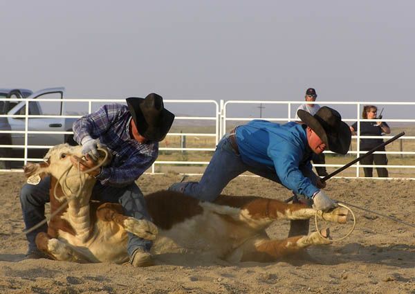 Could be disaster. Photo by Dawn Ballou, Pinedale Online.