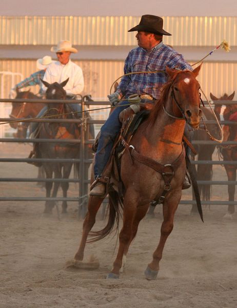 Tough Pull. Photo by Clint Gilchrist, Pinedale Online.