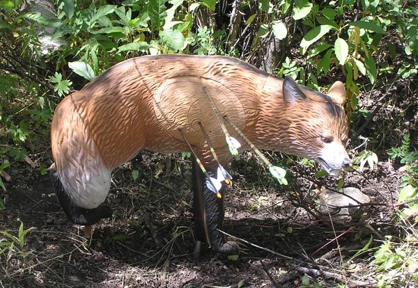 Fox target. Photo by Dawn Ballou, Pinedale Online.