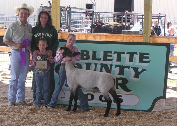 Grand Champion Sheep. Photo by Dawn Ballou, Pinedale Online.