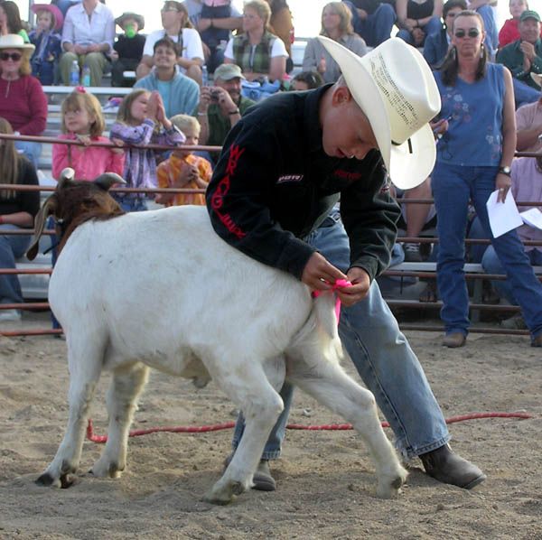 Wyatt Choate. Photo by Dawn Ballou, Pinedale Online.