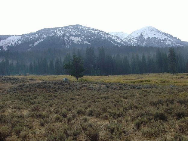 Snow on fire. Photo by U.S. Forest Service.