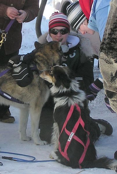 Emily Wade after the race. Photo by Dawn Ballou, Pinedale Online.