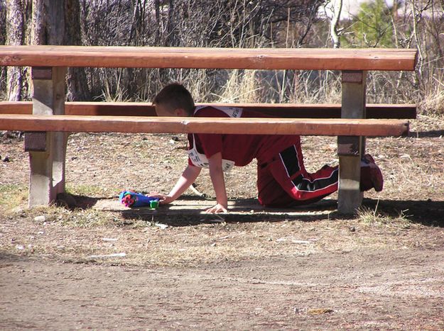 Through the picnic table. Photo by Dawn Ballou, Pinedale Online.