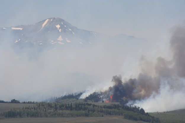 Backburn flames. Photo by Clint Gilchrist, Pinedale Online.