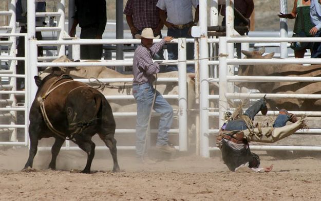 Sunny Munns hard fall. Photo by Dawn Ballou, Pinedale Online.