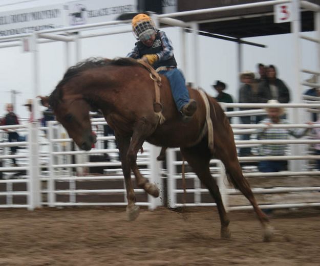 Luke Laison's Reride. Photo by Dawn Ballou, Pinedale Online.