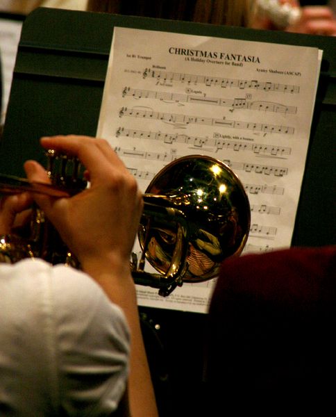 Christmas Fantasia. Photo by Pam McCulloch, Pinedale Online.