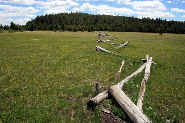 Old Buck Fence. Photo by Dawn Ballou, Pinedale Online.