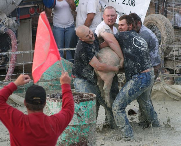 Tubbies and Pig. Photo by Dawn Ballou, Pinedale Online.