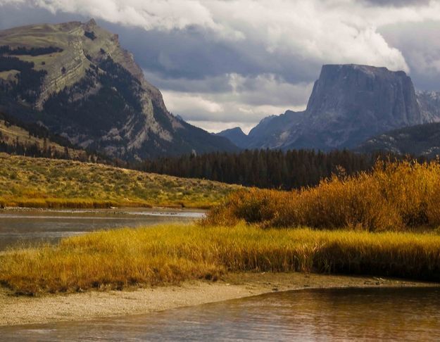 Fall Colors. Photo by Dave Bell.