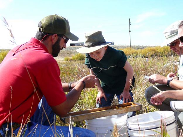 Identifying fish. Photo by Hal Erickson.