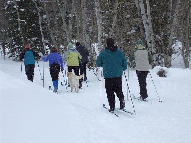 Kelly Park skiers. Photo by Bob Barrett, Pinedale Ski Education Foundation.