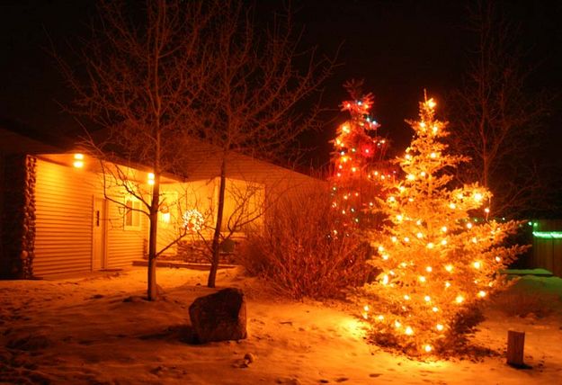 Bright yard. Photo by Dawn Ballou, Pinedale Online.