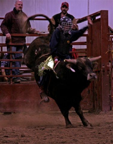 Bull Ride 9. Photo by Carie Whitman.