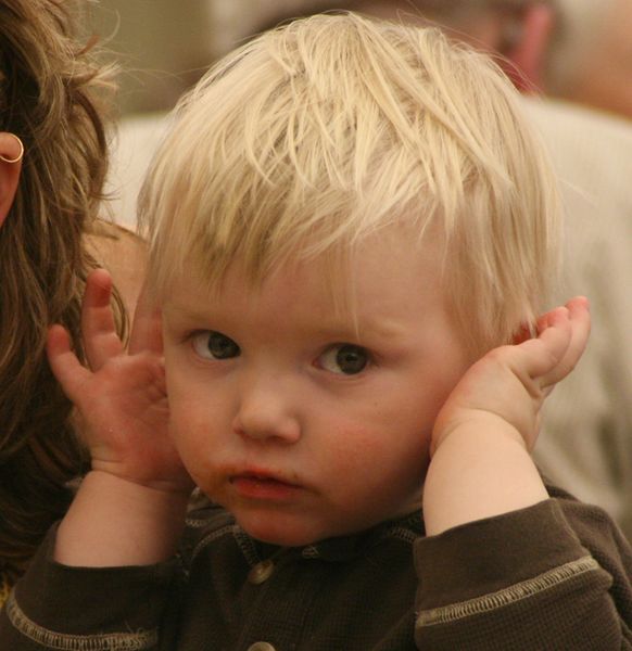 Too Loud. Photo by Pam McCulloch, Pinedale Online.