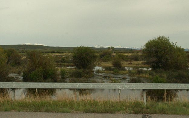 Cottonwood Creek 3. Photo by Dawn Ballou, Pinedale Online.