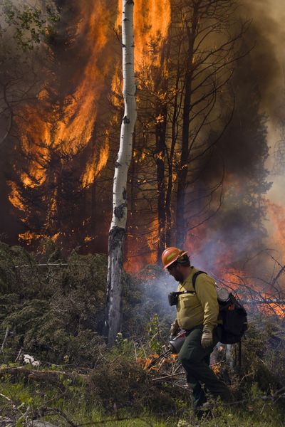 Burning Slash Piles. Photo by Mark Gocke, WGFD.